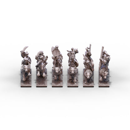 Orcs and Goblins (FD) | Goblin Wolf Riders Unit 2 | 10mm/15mm