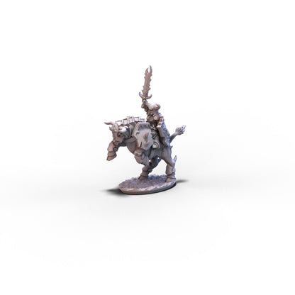 Despoilers | Lord on Bull with Helmet | 10mm/15mm