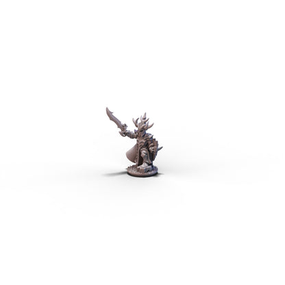 Dire Elves | Lord on Foot | 10mm/15mm